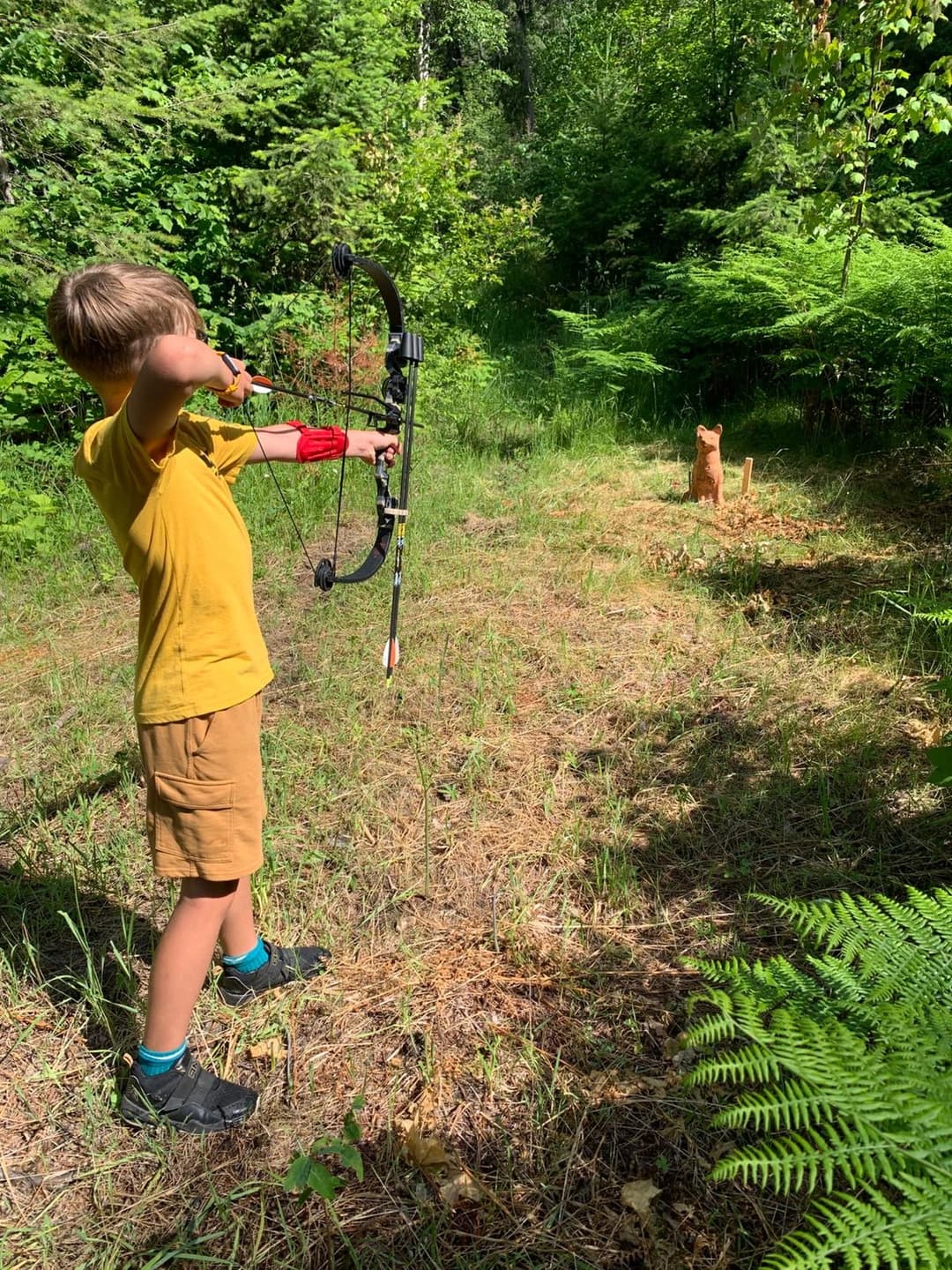 Youth Compound Bow 3D Archery in Armstrong, BC